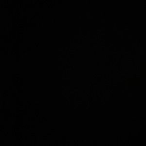 Meet your Posher, Hillary